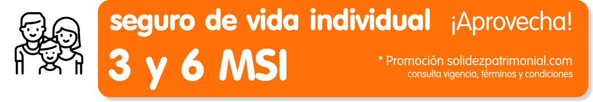 Seguro de Vida GNP a Meses sin Intereses
