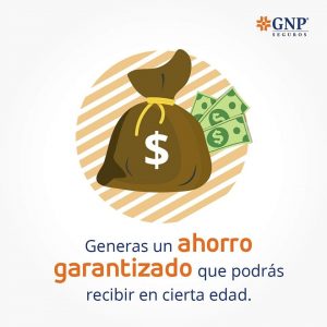 Seguro para el Retiro